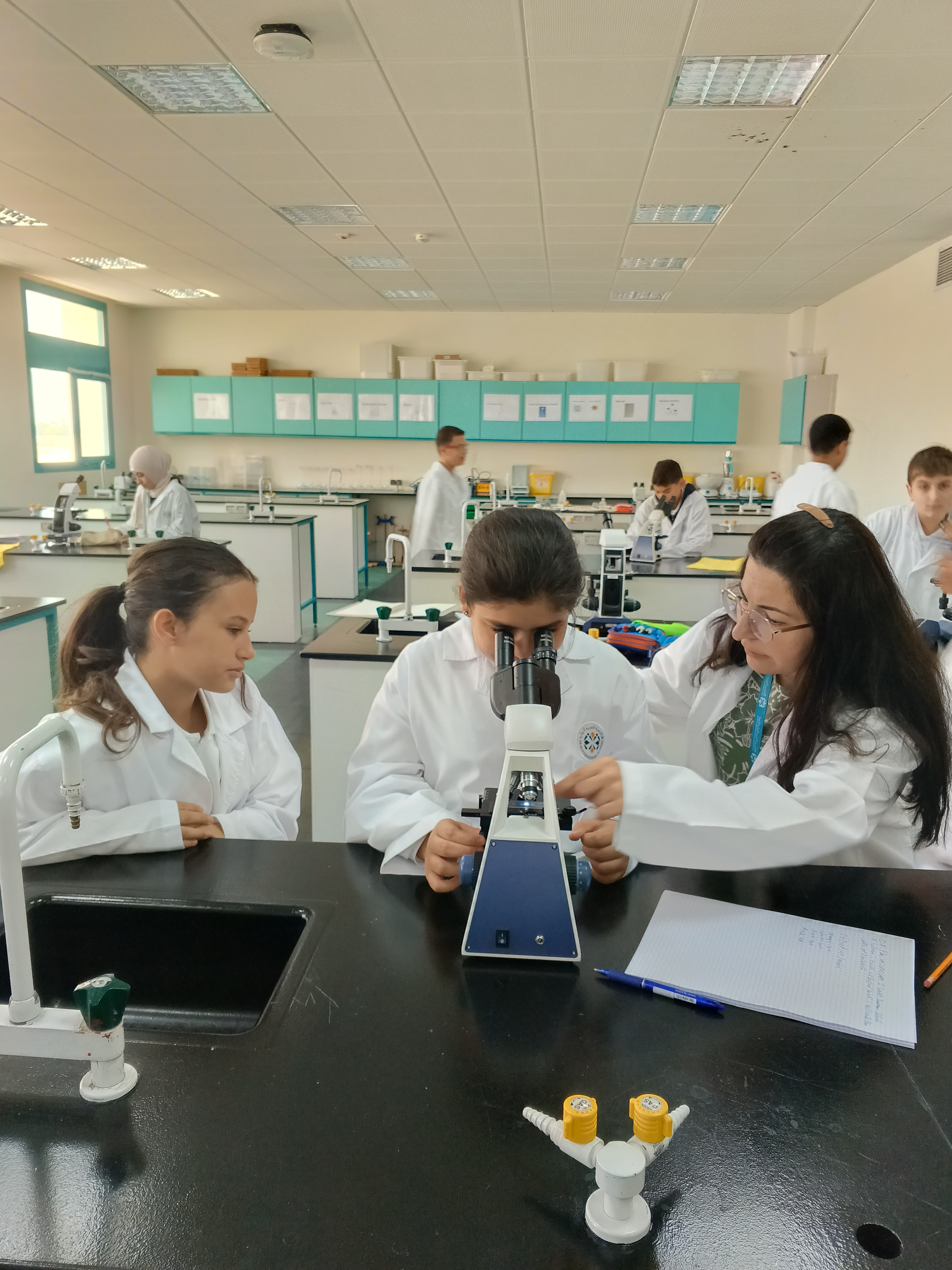 lab